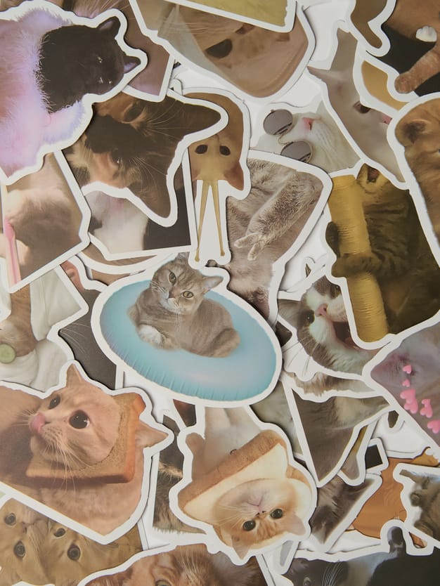 Стикеры - 50 шт. кошки мемы