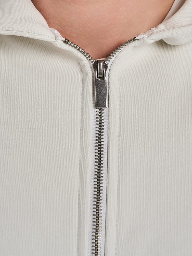 Зип худи с принтом льва на спине