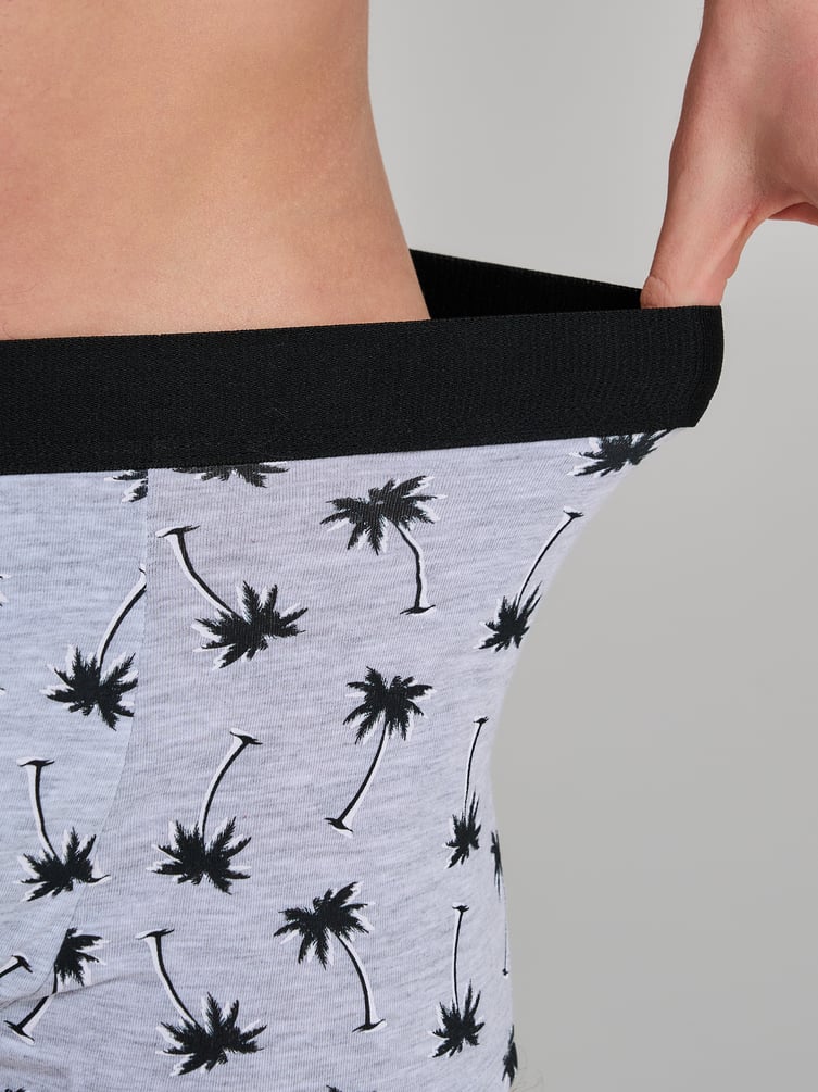 Трусы-боксеры - 2 шт. с принтом пальм