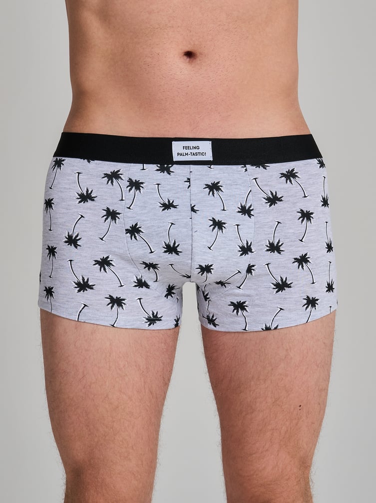 Трусы-боксеры - 2 шт. с принтом пальм