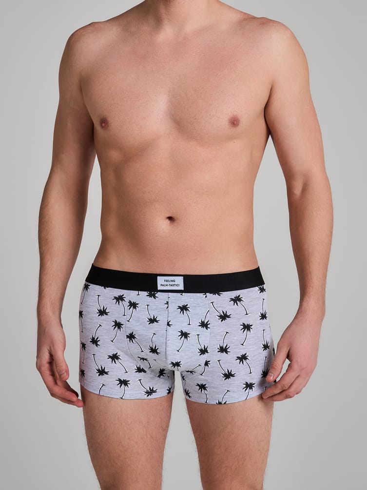 Трусы-боксеры - 2 шт. с принтом пальм
