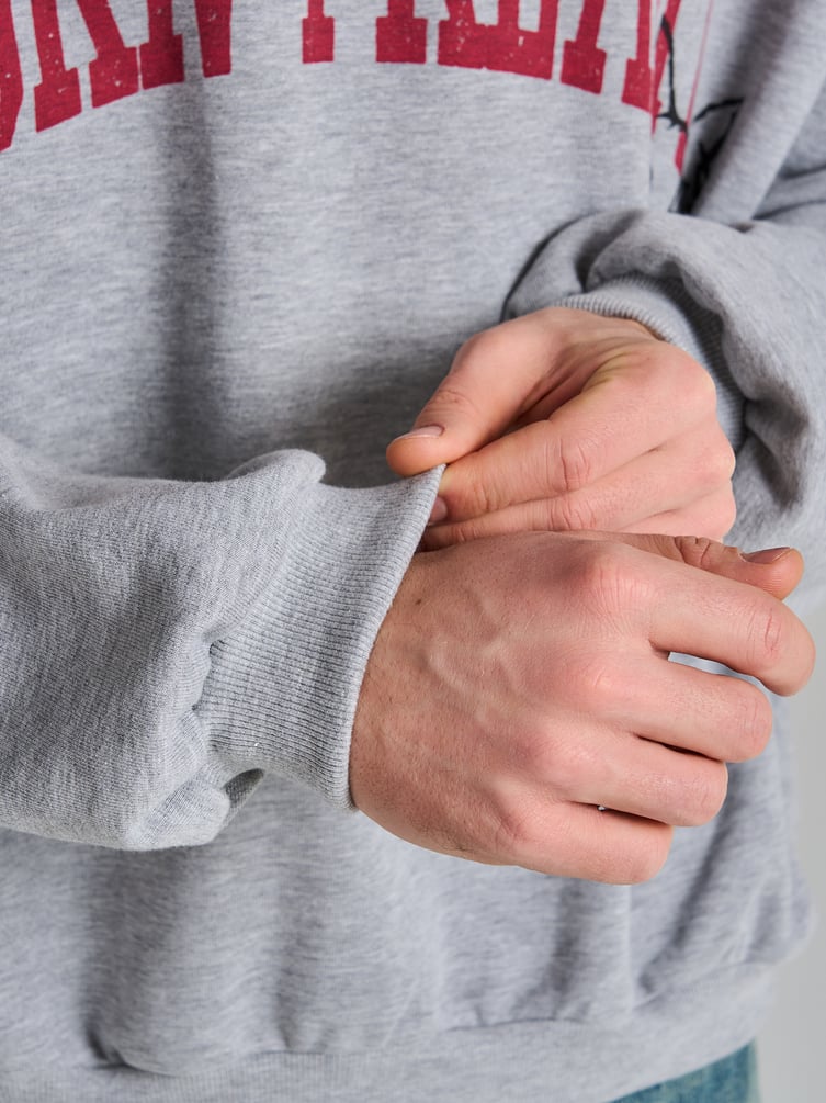 Свитшот оверсайз с нефорским принтом