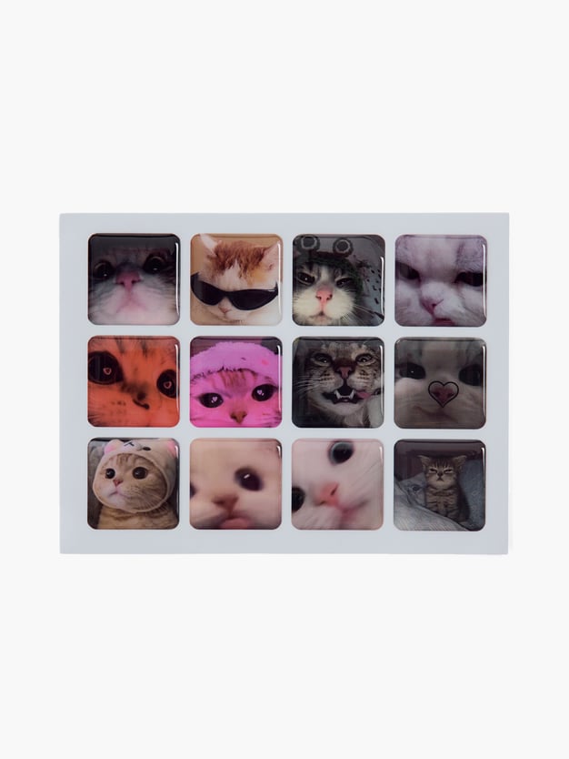 3D стикеры с котиками