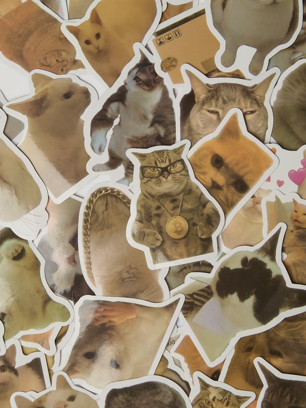 Стикеры - 50 шт. кошки мемы