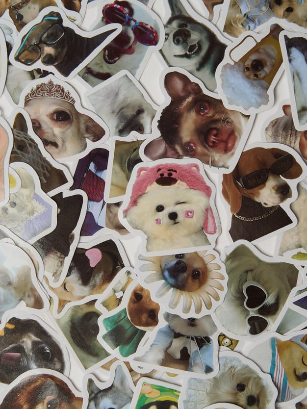 Стикеры - 50 шт. собаки мемы