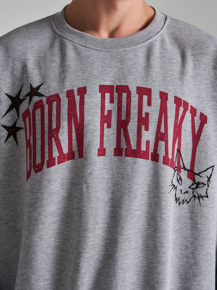 Свитшот оверсайз с нефорским принтом