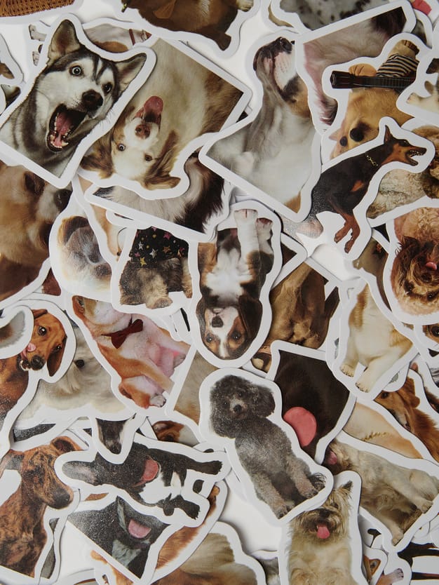 Стикеры - 50 шт. собаки мемы