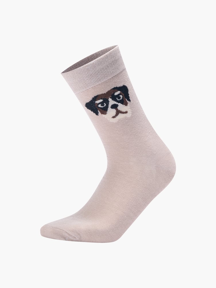 Носки - 3 пары с принтом собаки