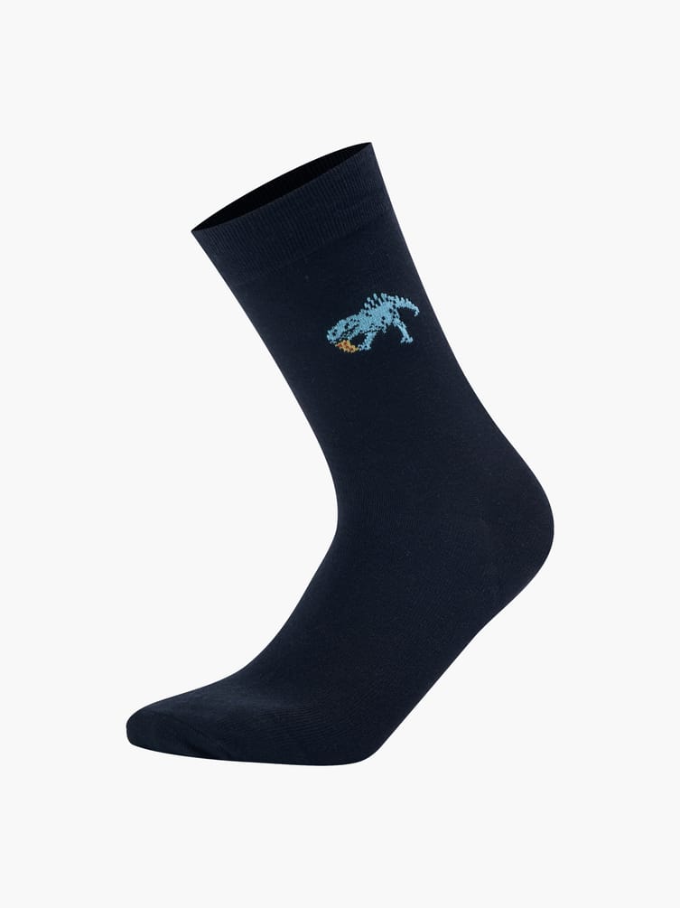 Носки - 3 пары с принтом динозавра