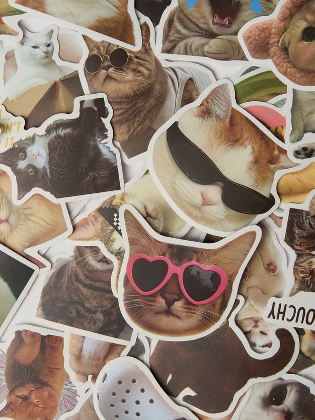 Стикеры - 50 шт. кошки мемы