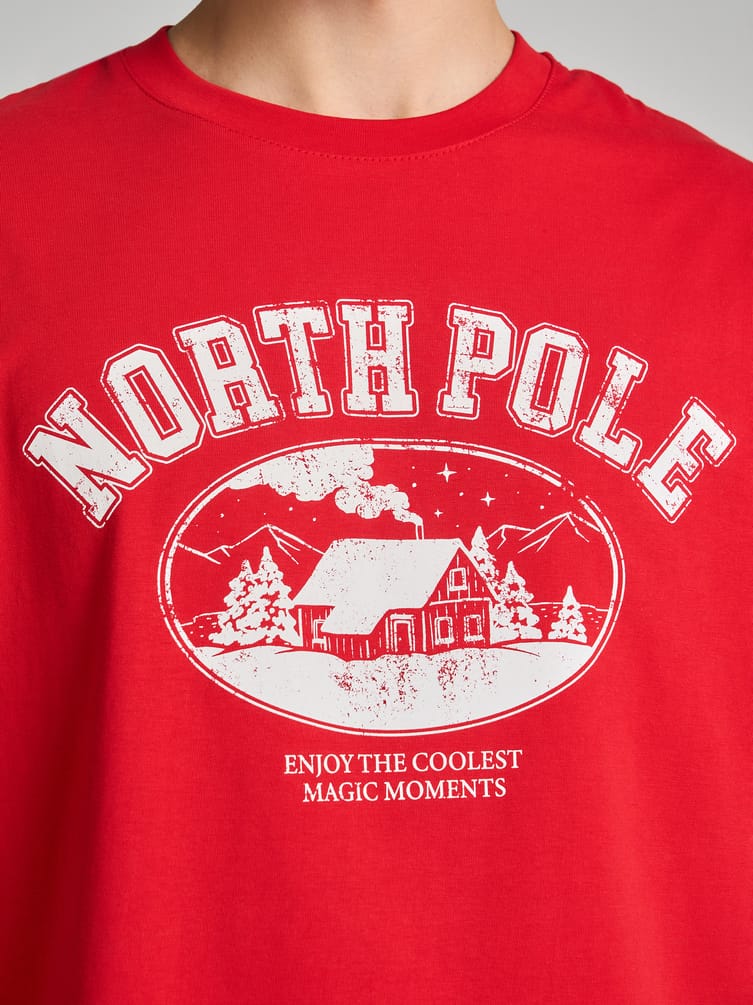 Футболка свободного кроя из хлопка с принтом