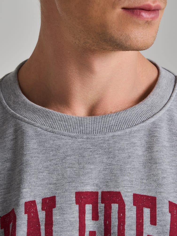 Свитшот оверсайз с нефорским принтом