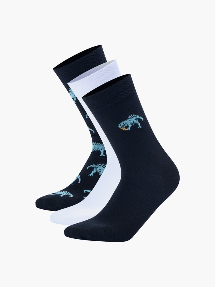 Носки - 3 пары с принтом динозавра